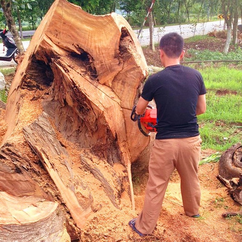 樟脑丸天然香樟木条球块纯衣柜防潮防霉防虫芳香去味家用驱虫蟑螂