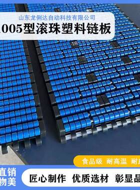 现货供应塑料滚珠链板1005型POM蓝色紫色直行输送带滚珠输送机PP