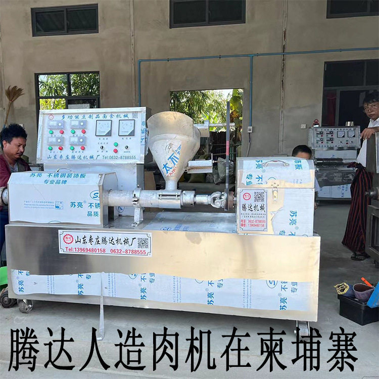豆制品加工设备全自动人造肉机大豆蛋白肉机素牛排机面皮面藕机图片
