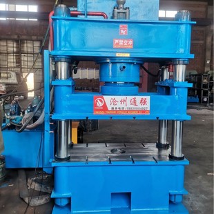 可定制各种规格的100t200t315t液压机油压机跨境成型机跨境专供