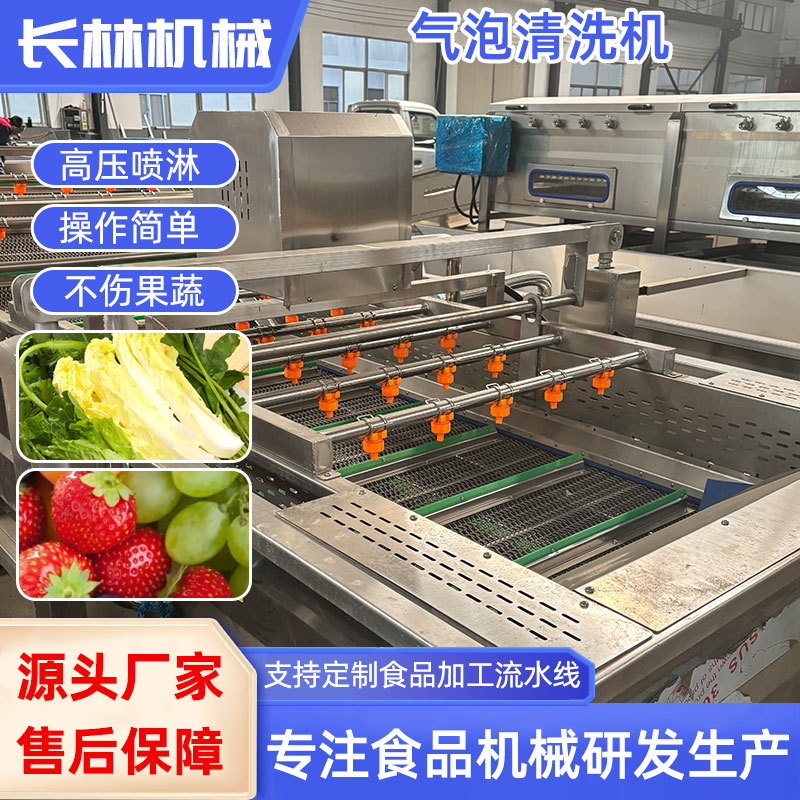 梅干菜荷兰豆清洗加工设备蒜米雪菜清洗流水线马蹄田七气泡清洗机