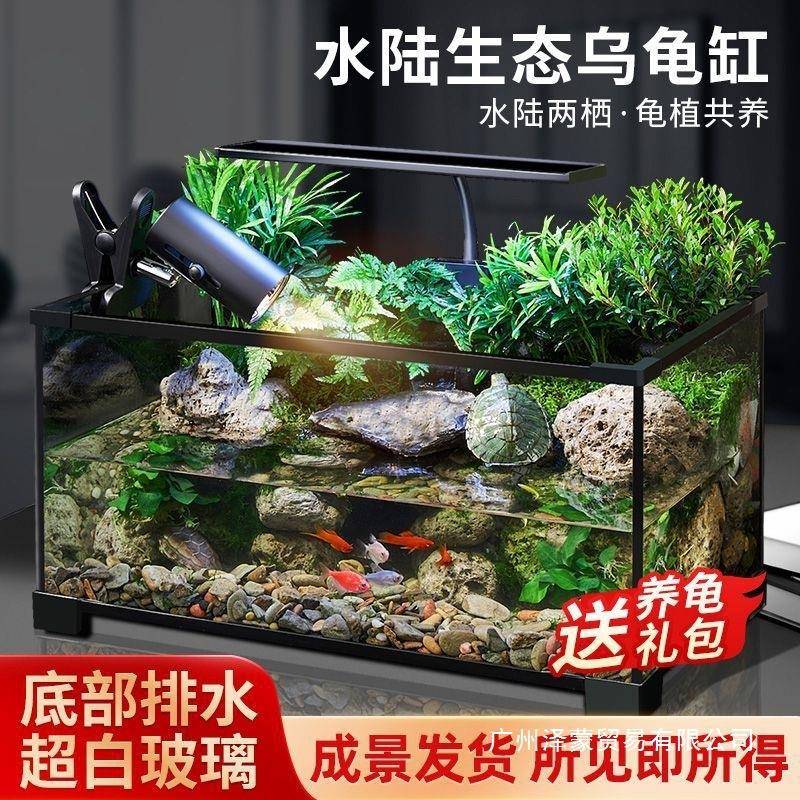 乌龟缸高清玻璃生态造景龟鱼缸一体混养生态缸客厅专用家用饲养缸
