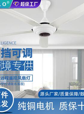 越南走量款式餐厅家用客厅吊扇金阳CE认证五叶装饰吊扇带灯