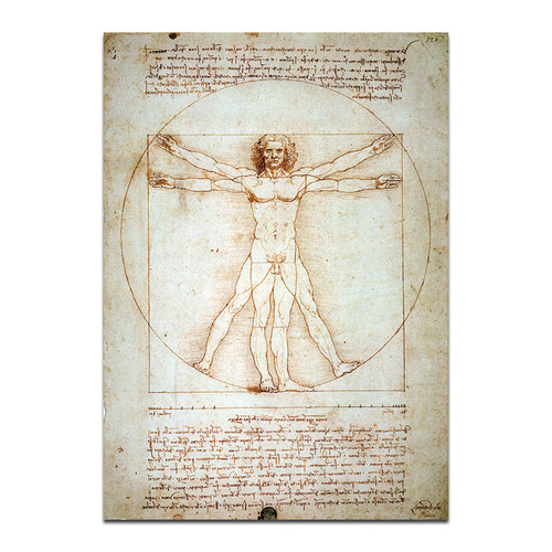 维特鲁威人 Leonardo da Vinci 达芬奇电表箱北欧艺术素描装饰画