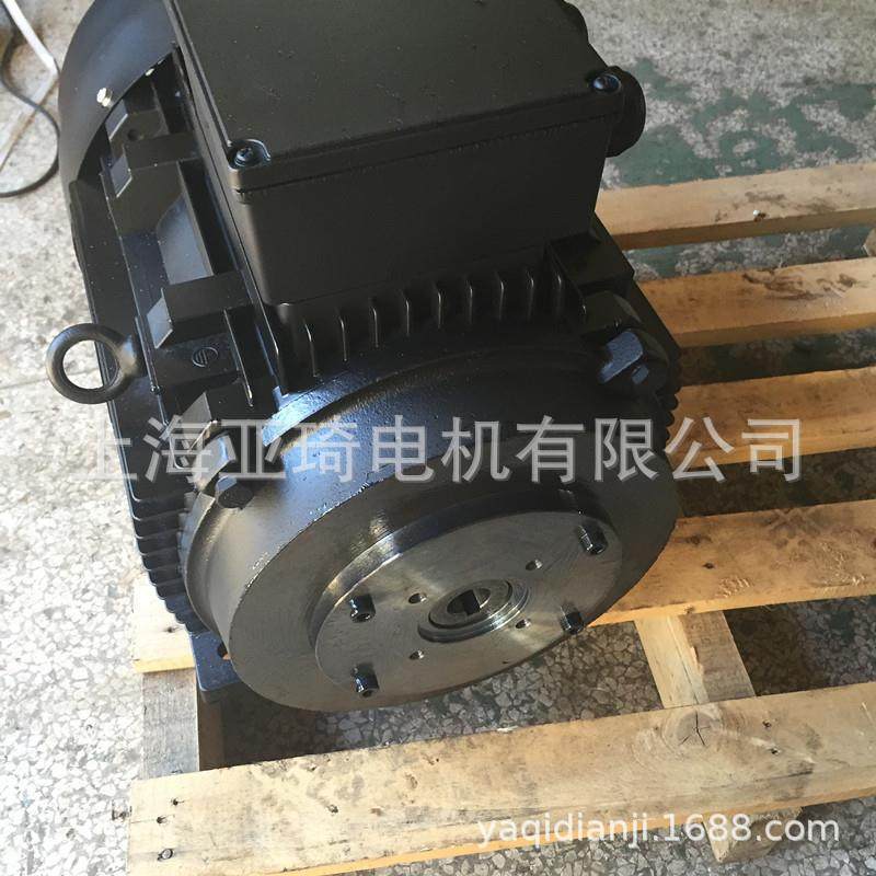 YE2-180M-4-18.5KW沪迪高压清洗机电机内轴电机