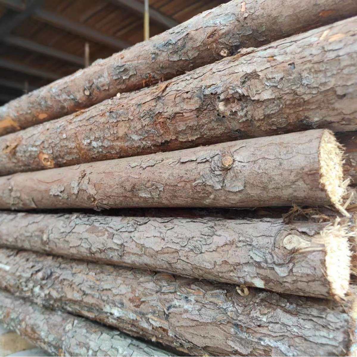 杉木杆杉木桩绿化杆 园林绿化支撑杆 1米-6米杉木绿化杆打桩木