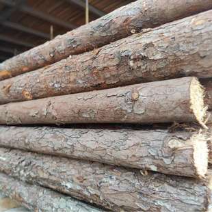 杉木杆杉木桩绿化杆 园林绿化支撑杆 1米-6米杉木绿化杆打桩木