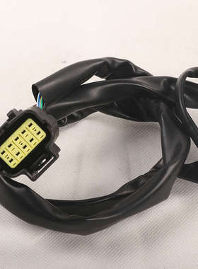 升仕ZT310-X-R1-T2-V-M摩托车左右手把开关点火开关喇叭配件启动