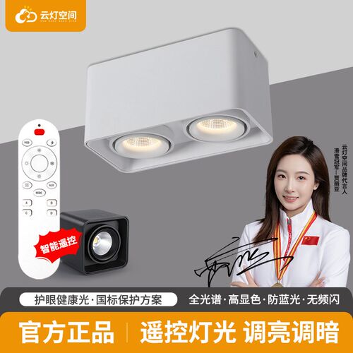 明装射灯智能遥控led天花灯双头可调角度客厅调光过道斗胆led筒灯