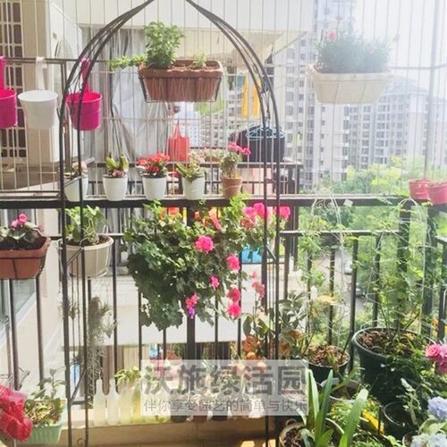 家庭阳台拱门花架爬藤架子花植物月季爬藤架玫瑰藤支架庭院攀爬架