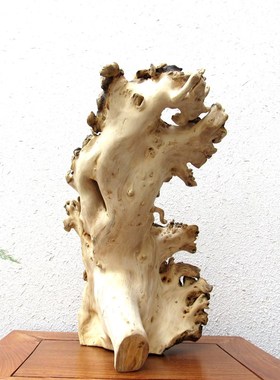 天然风化陈化枯木原木整体随形根雕根艺摆件自然禅意生态家居饰品
