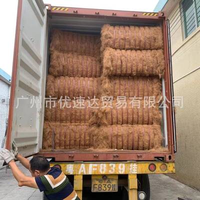 绿植遮盖椰棕丝草种防止水土流失椰棕纤维种草纤维丝草菇养植材料
