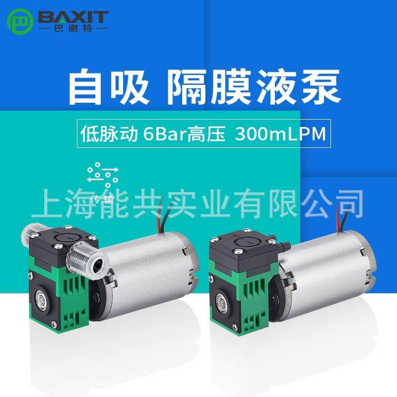 BAXIT微型隔膜液泵12V自吸小型抽水泵24V 高压 耐腐蚀无油L01DC
