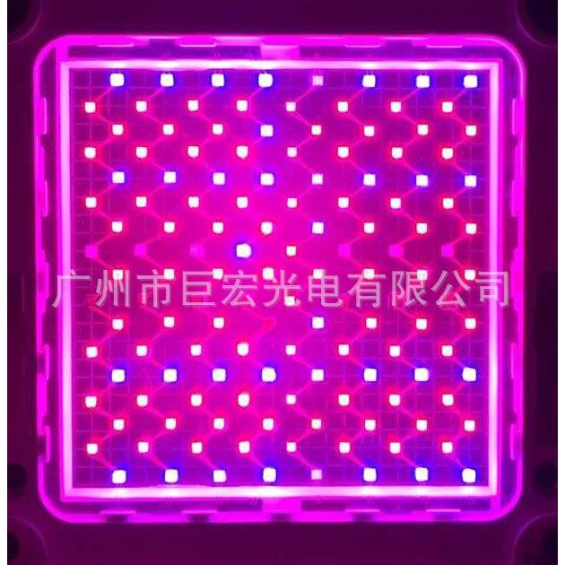 厂家大功率LED灯珠 136W红蓝紫多波段植物灯灯珠多色光