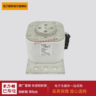 熔断器170M6910 170M7001 170M7026 170M7028 170M7029 170M7031