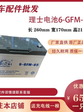 LEOCH理士蓄电池 6-GFM-85 12V85AH电动叉车中力合力诺力叉车