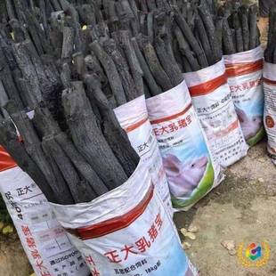 ?青冈木烤F$ph(^lh炭青钢青炭去皮杠炭菊花炭野炊灶烧烤炭露营炭