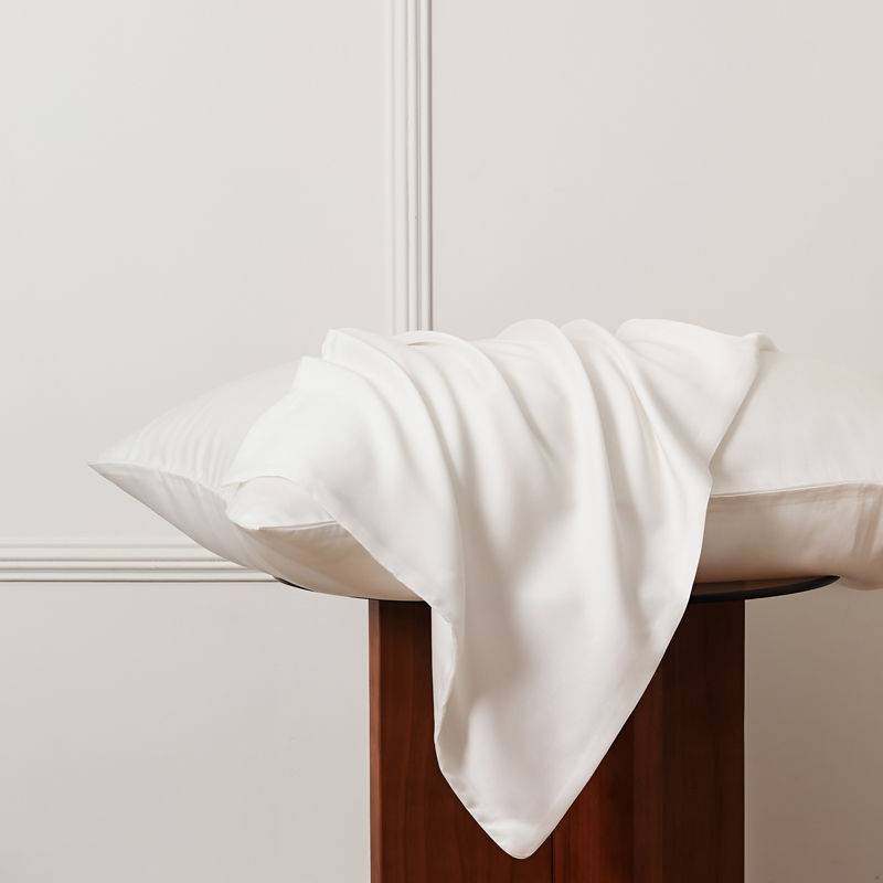 新款夏天丝纯色枕套一对装简约拼色撞色凉感丝滑透气夏季枕头套子