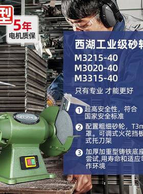 杭州SEWO临西湖砂轮机台安寸式220V单相电6MFGR32D15