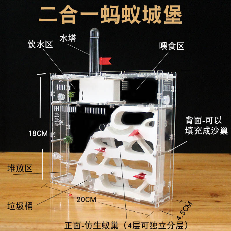 双面蚂蚁城堡 超大型别墅蚁巢室 生态宠物工坊家园王国对战送蚁后