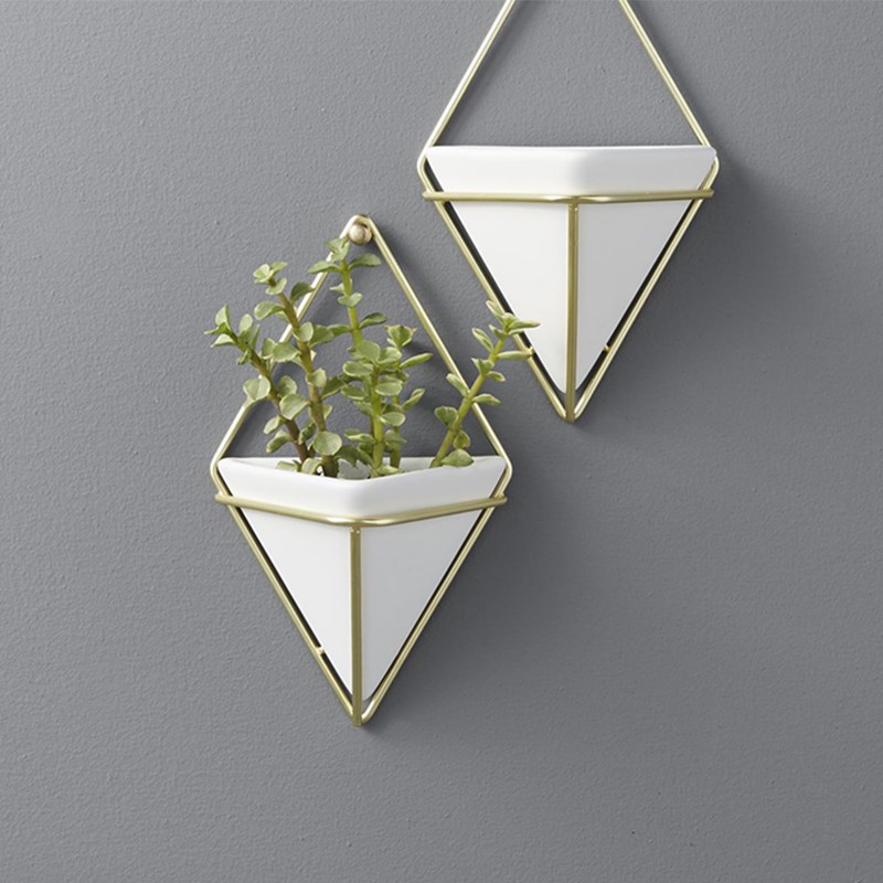 加拿大umbra 创意家居花架壁挂花盆盆栽客厅立体植物墙面装饰花器