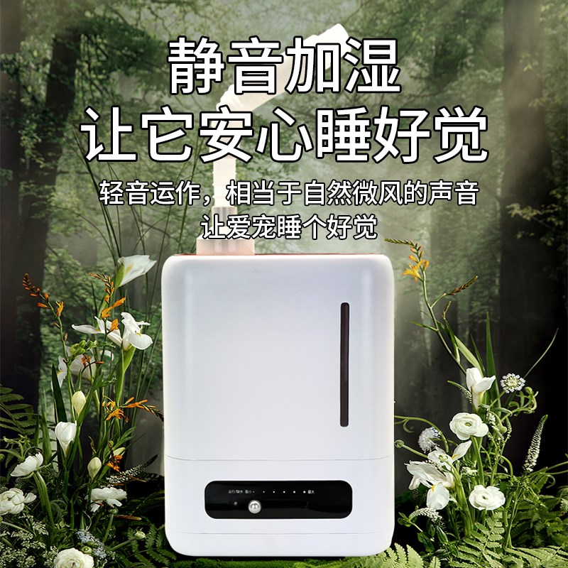爬宠加湿器带管子热带雨林乌龟蜥蜴变色龙爬行动物养护箱喷雾化器