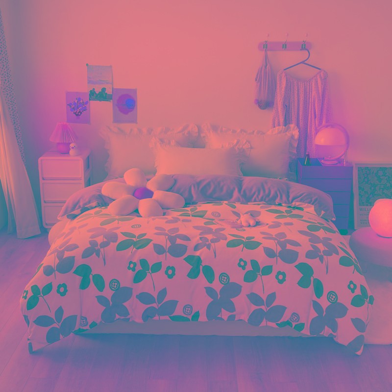 定做订制加厚珊瑚绒被罩248加大绒被套229*230*250*220*240