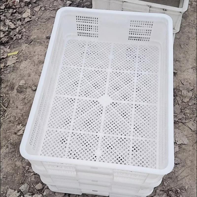 长方形透气鱼虾蔬菜水果筐收纳篮大虾物流箱转运塑料篮耐用运输箱