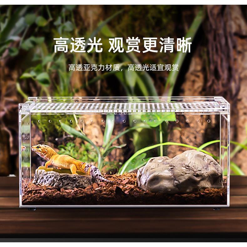 爬宠饲养盒树蛙蛇乌龟螳螂睫角守宫角蛙鬃狮蛛大中小迷你号养殖箱