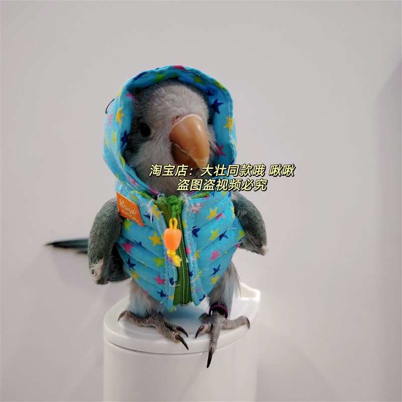 鹦鹉棉服服鸟衣服鹦鹉棉外套玄凤加厚保暖外出服鹦鹉用品鸟用品