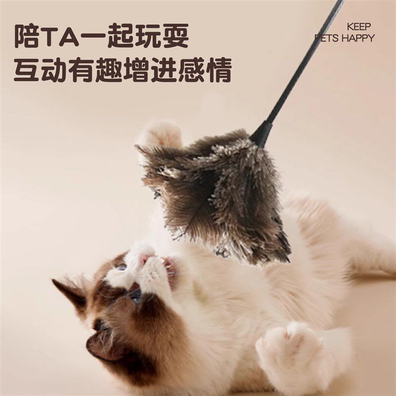 驼鸟毛逗猫棒猫咪玩具自嗨解闷气味丰荣天然羽毛厚不掉毛耐咬除尘