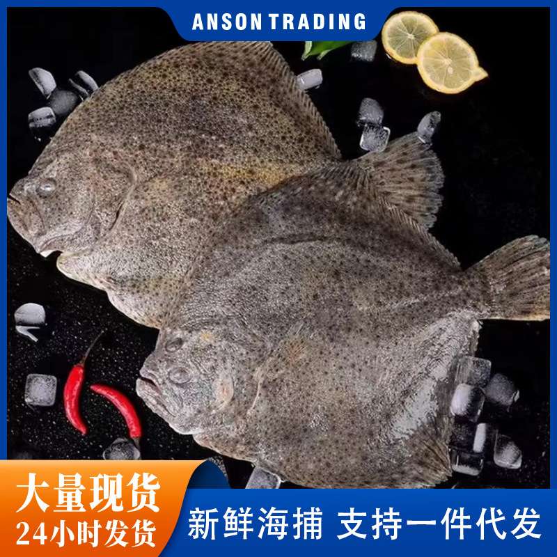 新鲜多宝鱼鲜活速冻偏口鱼海鲜水产 活冻海鲜水产新鲜比目鱼
