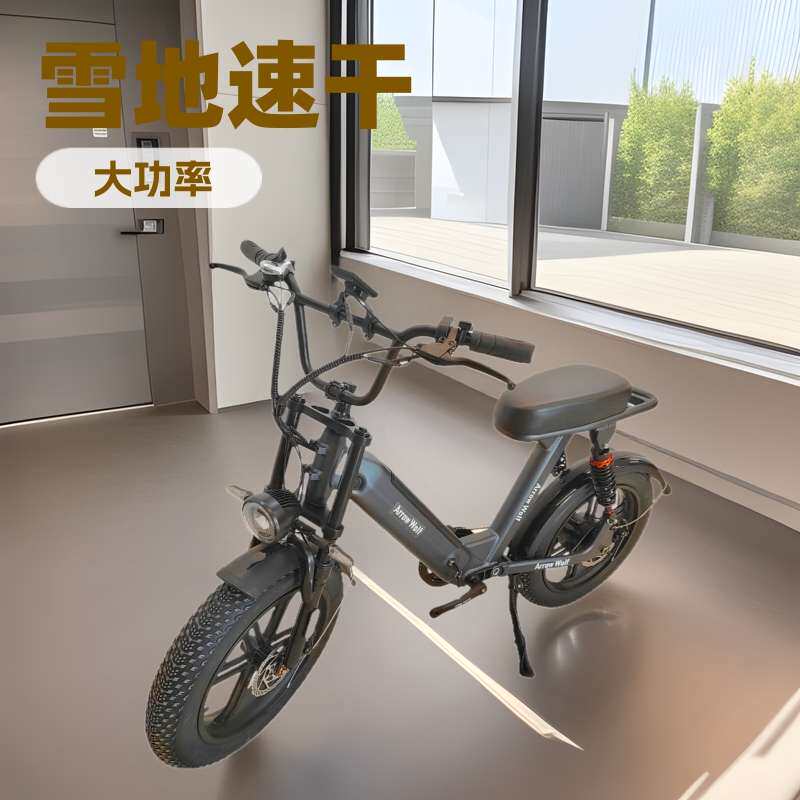 20寸雪地电动自行车宽胎电动自行车大功率电动自行车山地电动自行