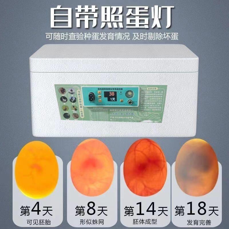 养殖孵化箱家用小型家庭孵化小鸡全自动全自动孵化器儿童孵化鸡蛋