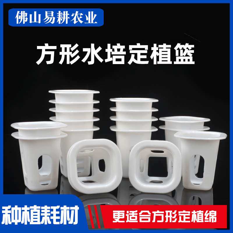 无土栽培蔬菜定植篮水培蔬菜方形定植篮水耕菱形孔塑料篮子配件