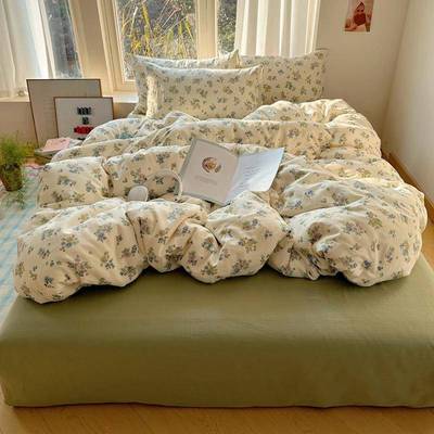 双层纱小清新全棉纯棉四件套家用卧室床单软糯亲肤四季通用单人