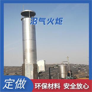 小型沼气火炬 性能好 内燃式沼气环保火炬 环保沼气火炬
