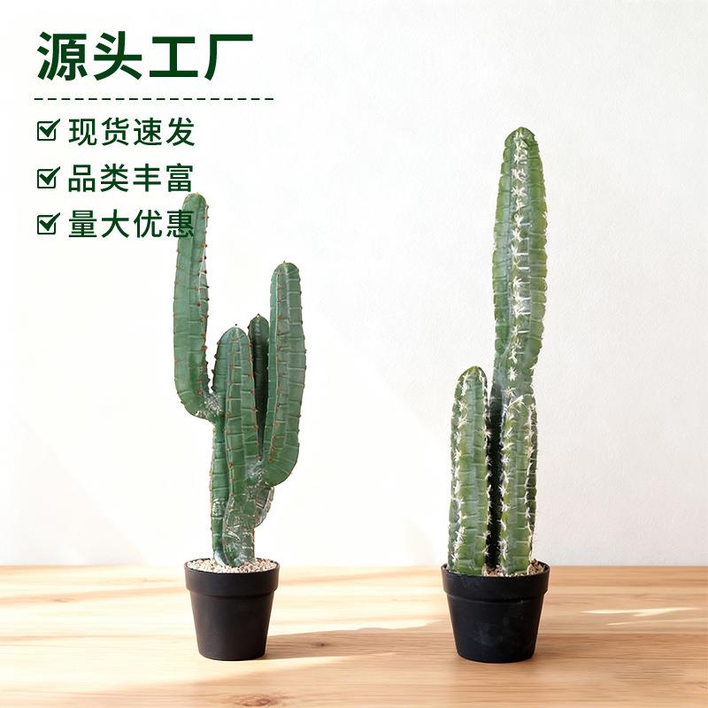 仿真仙人掌三头五角多叉仙人柱盆栽量天尺热带沙漠植物景观装饰