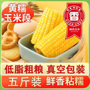 头茬黄金八厘米玉米段糯玉米真空包装 活动立减50元 5斤装