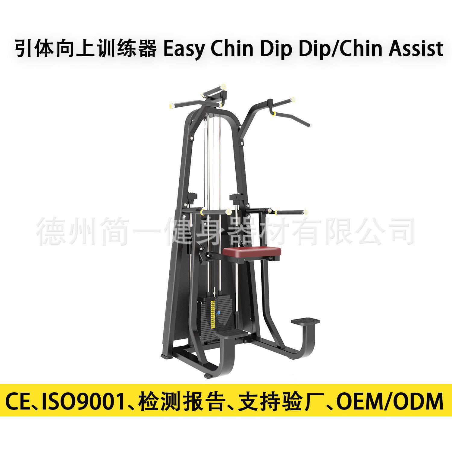 双杠训练器械引体向上EasyChinDipDip/ChinAssist必确力量