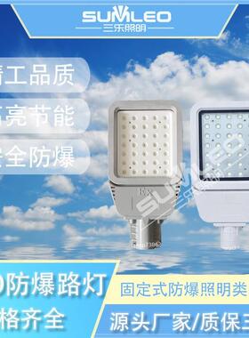 LED防爆路灯SLD6100 50/300W防爆马路灯泛光灯探照防爆照明灯220v