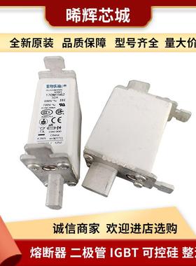 170M2609 170M2610 170M2611型号齐全标准封装现货低压快速熔断器