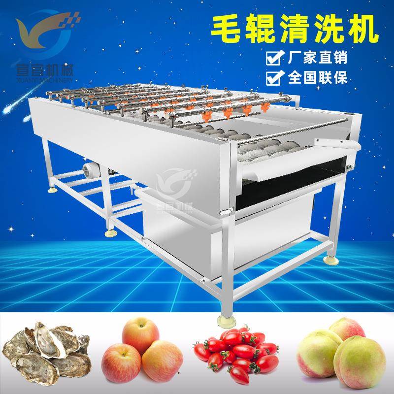 现货柚子橙子清洗打蜡机连续式橘子清洗机高压喷淋瓜果清洗设备