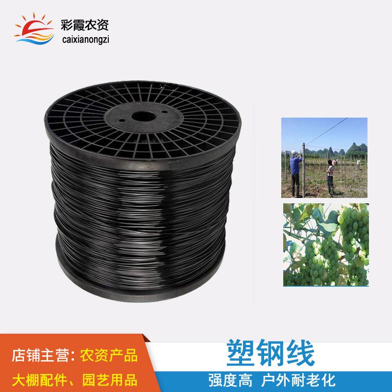 高强度塑钢线温室大棚线压膜线园艺线百香果葡萄园托幕线带塑料盘