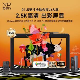 XPPen Artist Pro22(Gen2)2.5K数位屏 电脑专业绘画手绘数位屏
