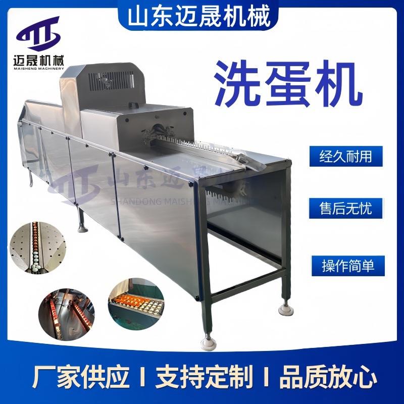 鹌鹑蛋鸭蛋清洗设备 毛刷鸡蛋鹅蛋清洗机大型喷油喷码保鲜洗蛋机
