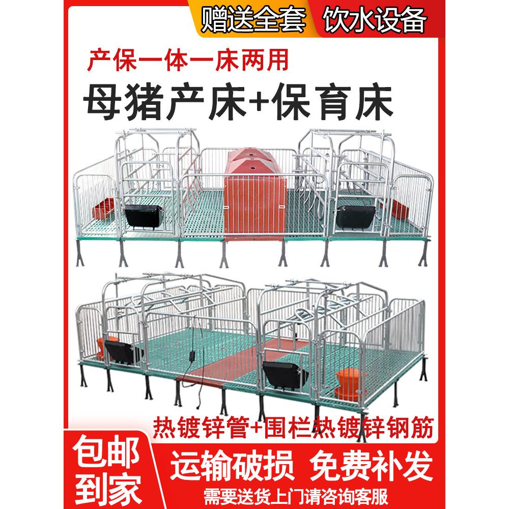 母猪产床保育床产保两用一体猪用双体分娩床猪产房定位栏养猪设备