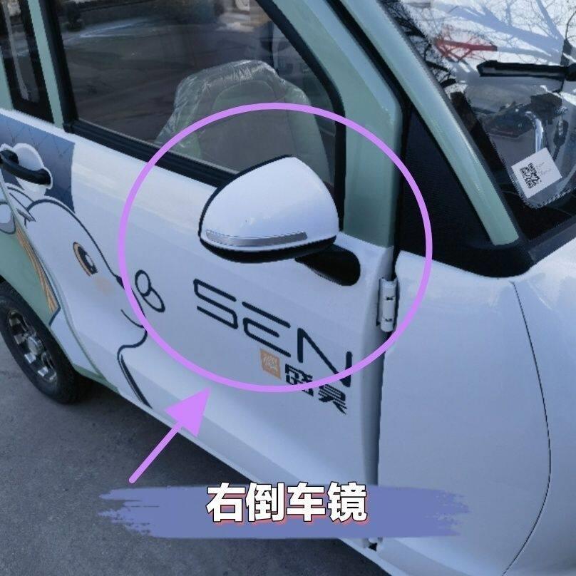 盛昊G2 F1 F3 D5 F6 新能源电动三轮车四轮车后视镜倒车镜反光镜