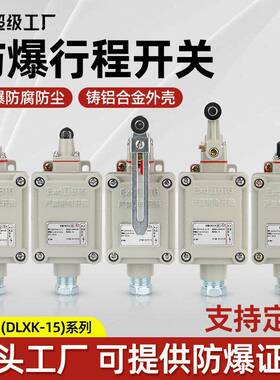 BZX51-5Z/L/N/T限位开关铸铝合金滚轮防爆开关DLXK5防爆行程开关