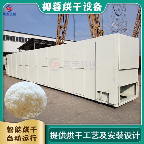 椰蓉网带式烘干机 大型椰子肉椰子片椰子加工烘干线 椰子粉干燥机